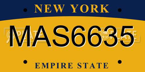 MAS6635 New York License Plate