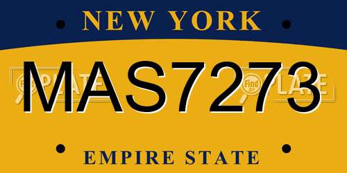 MAS7273 New York License Plate