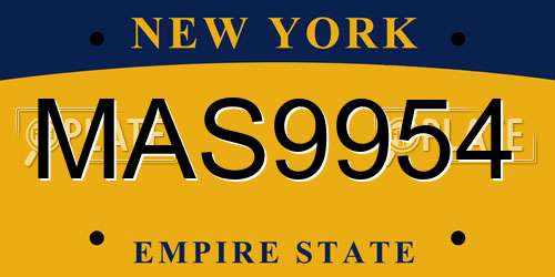 MAS9954 New York License Plate