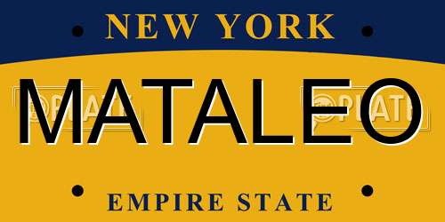 MATALEO New York License Plate