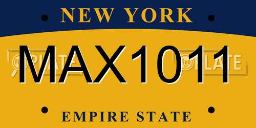 MAX1011 New York License Plate