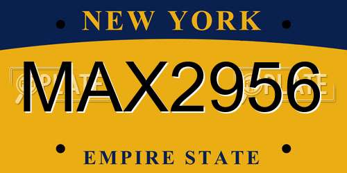 MAX2956 New York License Plate