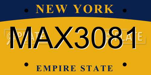MAX3081 New York License Plate