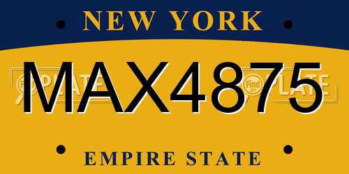 MAX4875 New York License Plate