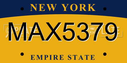 MAX5379 New York License Plate