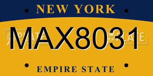 MAX8031 New York License Plate