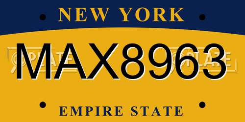 MAX8963 New York License Plate