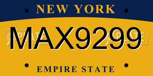 MAX9299 New York License Plate