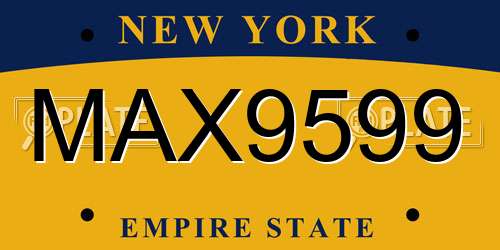 MAX9599 New York License Plate