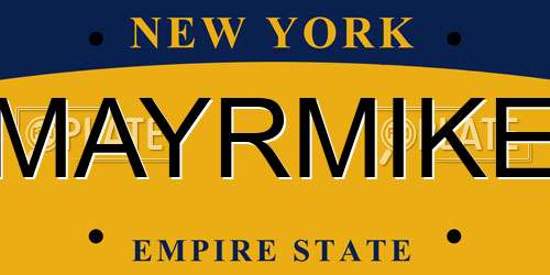 MAYRMIKE New York License Plate