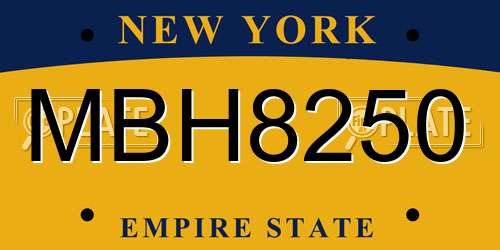 MBH8250 New York License Plate