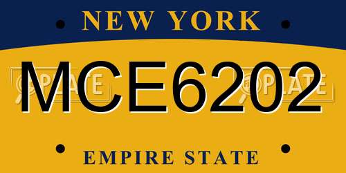 MCE6202 New York License Plate