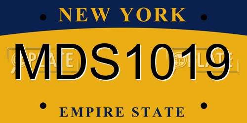 MDS1019 New York License Plate