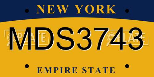 MDS3743 New York License Plate