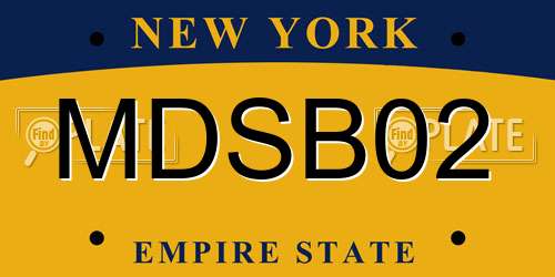 MDSB02 New York License Plate