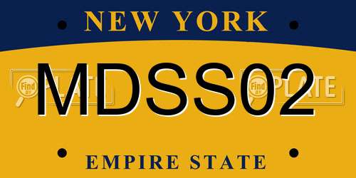 MDSS02 New York License Plate