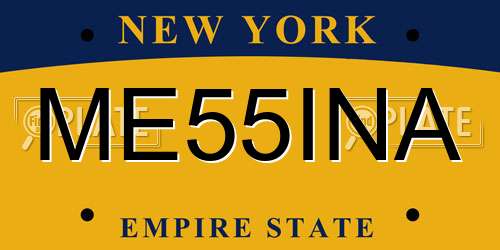 ME55INA New York License Plate