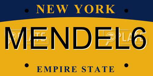 MENDEL6 New York License Plate