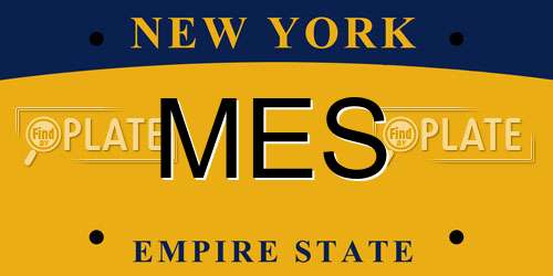 MES New York License Plate