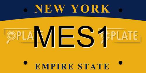MES1 New York License Plate