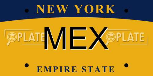 MEX New York License Plate
