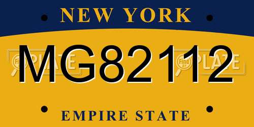 MG82112 New York License Plate