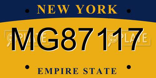 MG87117 New York License Plate