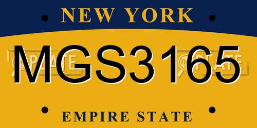 MGS3165 New York License Plate