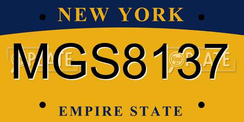 MGS8137 New York License Plate
