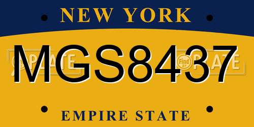 MGS8437 New York License Plate