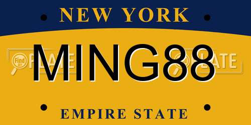 MING88 New York License Plate