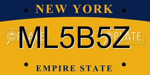 ML5B5Z New York License Plate