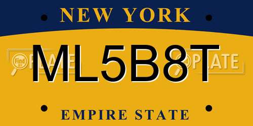 ML5B8T New York License Plate