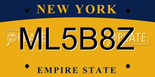 ML5B8Z New York License Plate