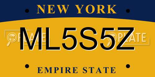 ML5S5Z New York License Plate