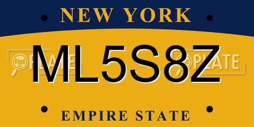 ML5S8Z New York License Plate