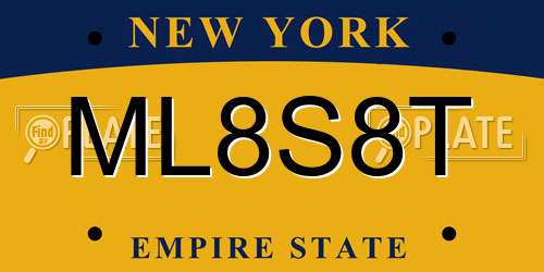 ML8S8T New York License Plate
