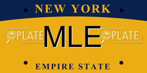 MLE New York License Plate