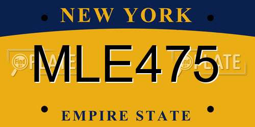 MLE475 New York License Plate