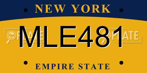 MLE481 New York License Plate