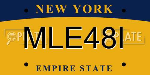 MLE48I New York License Plate