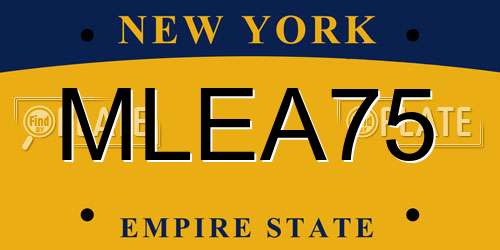 MLEA75 New York License Plate
