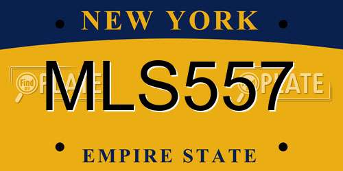 MLS557 New York License Plate