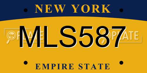 MLS587 New York License Plate