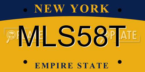 MLS58T New York License Plate