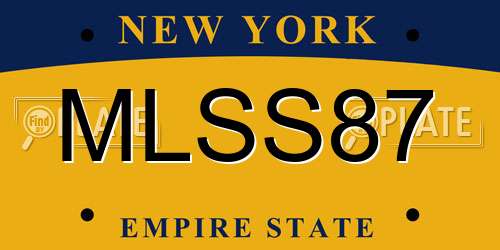 MLSS87 New York License Plate
