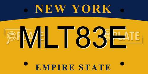 MLT83E New York License Plate
