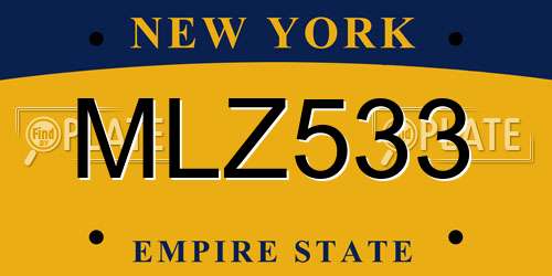 MLZ533 New York License Plate