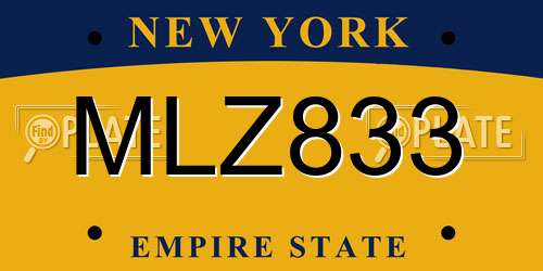 MLZ833 New York License Plate