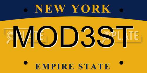 MOD3ST New York License Plate